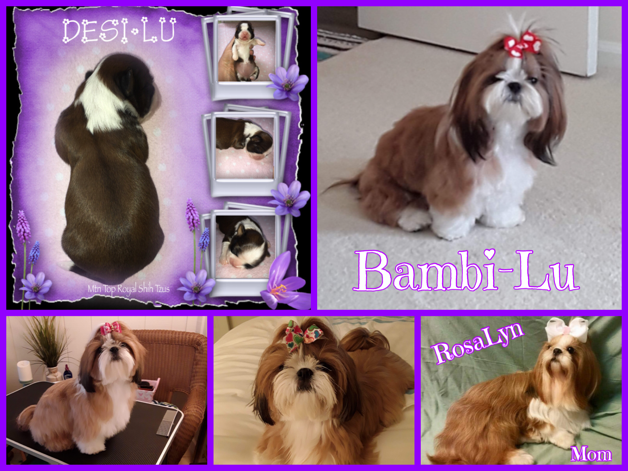 Bambi-Lu loved forever by Donna