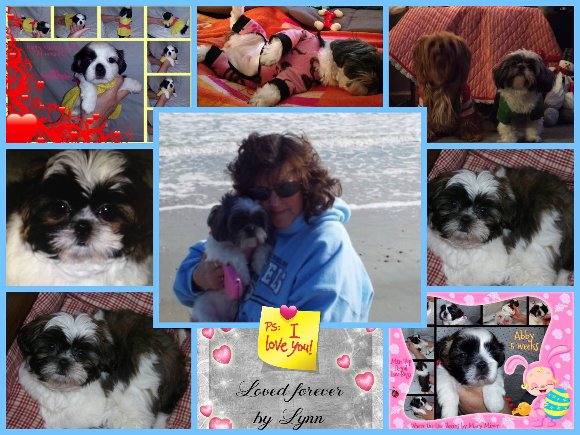 Zoey Loved Forever by Lynn