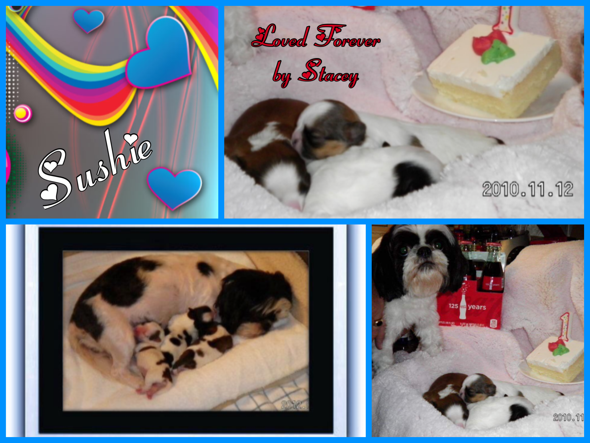 Sushie loved forever by Stacey